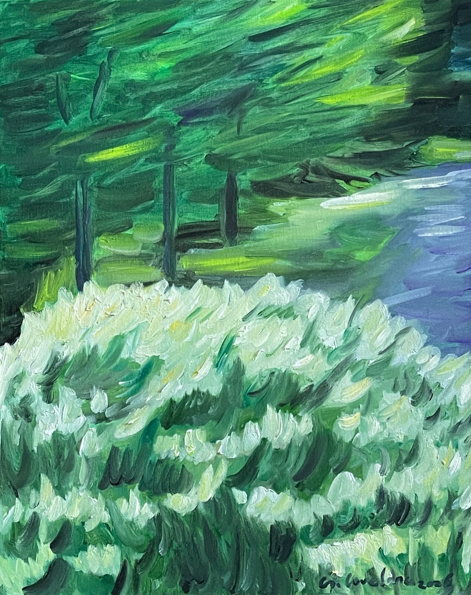 White hydrangeas in Loveland Garden II